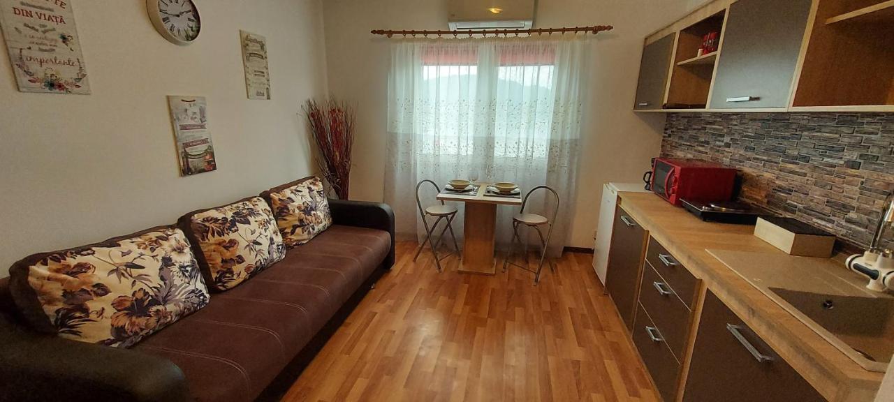The View Apartment Orşova Εξωτερικό φωτογραφία